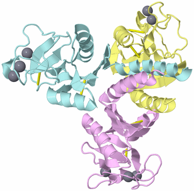 Image Biological Unit 2