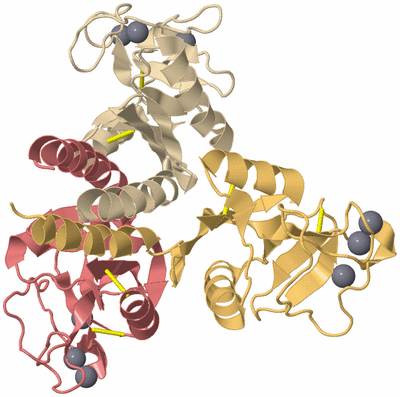 Image Biological Unit 3