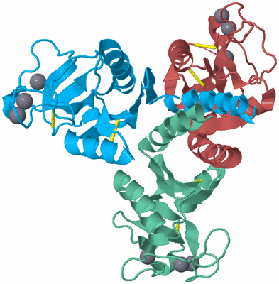 Image Biological Unit 4