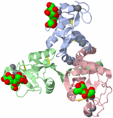 Image Biological Unit 1