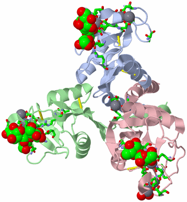 Image Biol. Unit 1 - sites