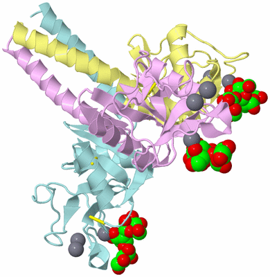 Image Biological Unit 2