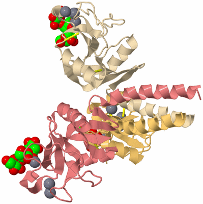 Image Biological Unit 3