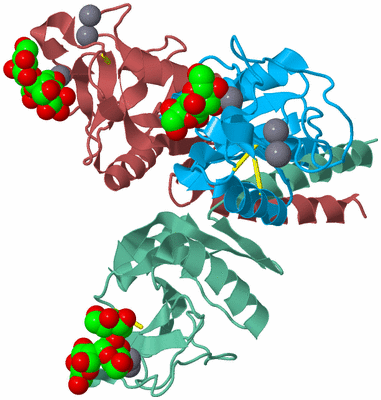 Image Biological Unit 4