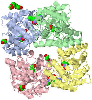 Image Asym./Biol. Unit