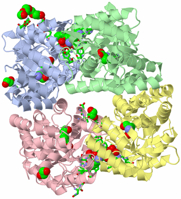 Image Asym./Biol. Unit - sites