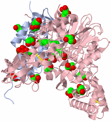 Image Asym./Biol. Unit