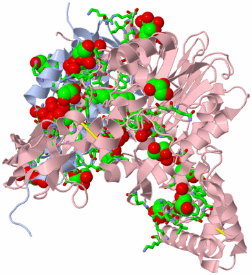 Image Asym./Biol. Unit - sites