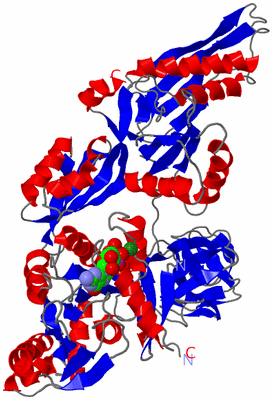 Image Asym./Biol. Unit