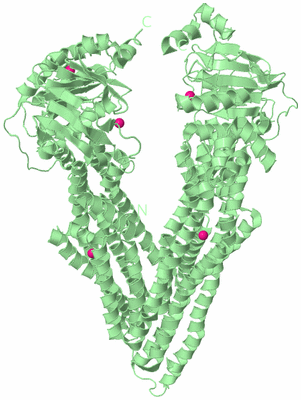 Image Biological Unit 2