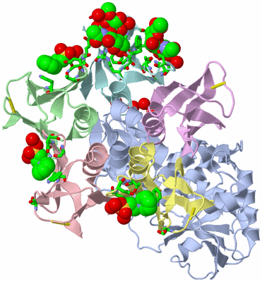 Image Asym./Biol. Unit - sites