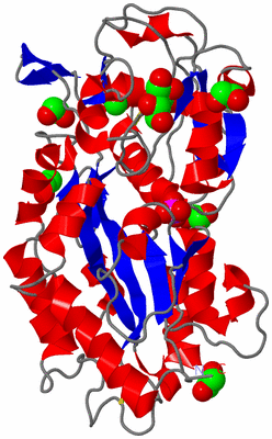 Image Asym./Biol. Unit