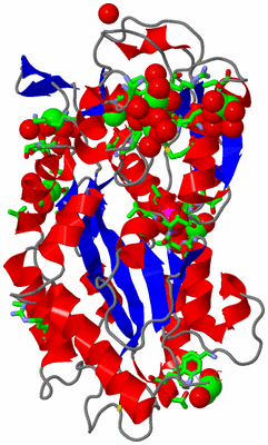 Image Asym./Biol. Unit - sites