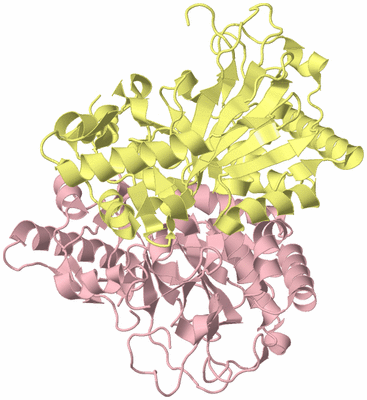 Image Biological Unit 2