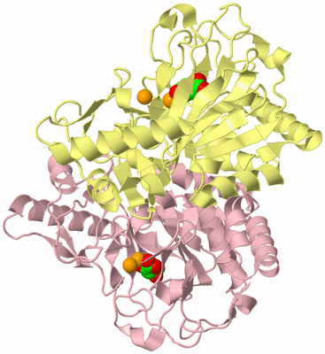 Image Biological Unit 2