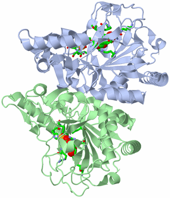 Image Biol. Unit 1 - sites