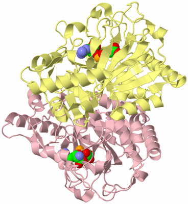 Image Biological Unit 2