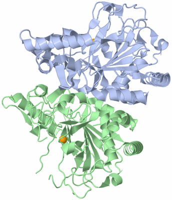 Image Biological Unit 1