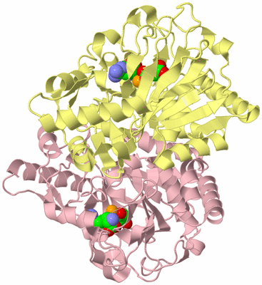 Image Biological Unit 2