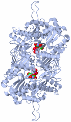 Image Biological Unit 2