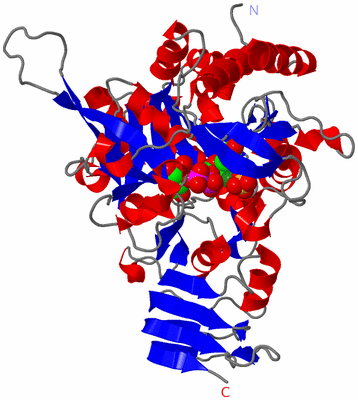 Image Asym./Biol. Unit