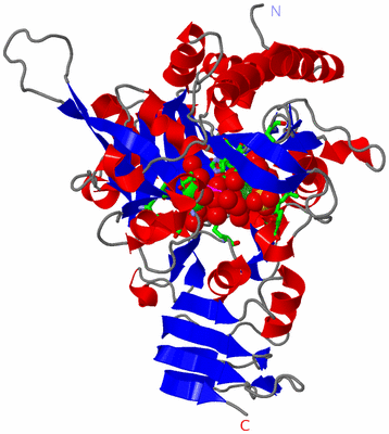 Image Asym./Biol. Unit - sites