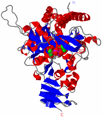 Image Asym./Biol. Unit