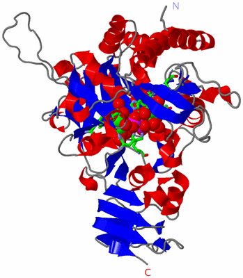 Image Asym./Biol. Unit - sites