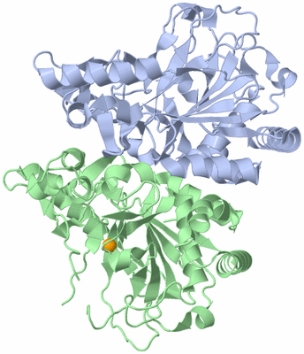 Image Biological Unit 1