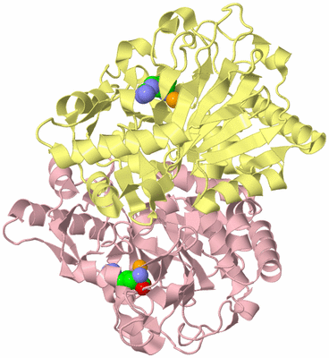 Image Biological Unit 2