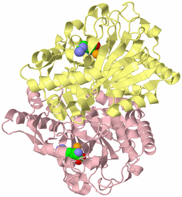 Image Biological Unit 2