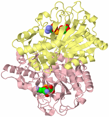 Image Biological Unit 2