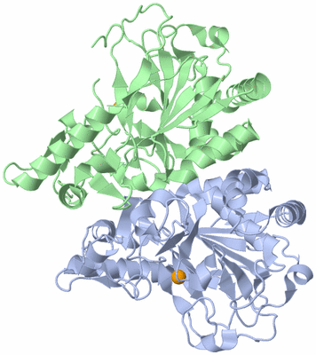 Image Biological Unit 1