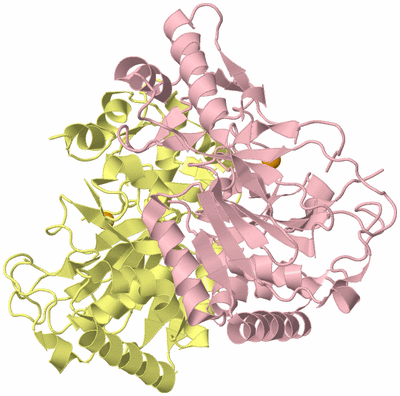 Image Biological Unit 2