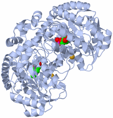 Image Biological Unit 1