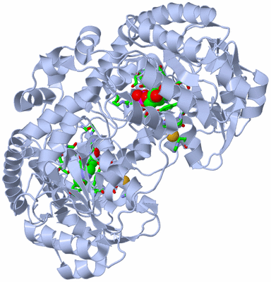 Image Biol. Unit 1 - sites