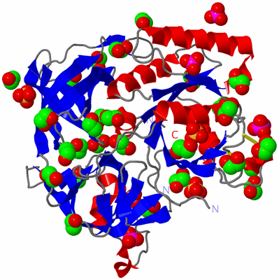 Image Asym./Biol. Unit