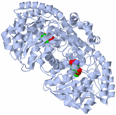 Image Biological Unit 1