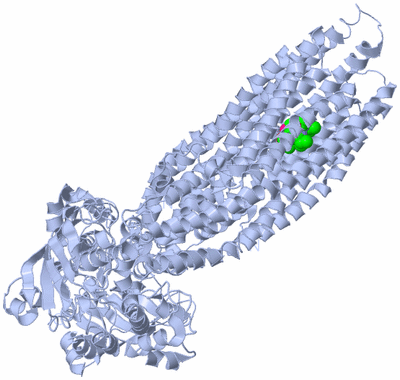 Image Biological Unit 1