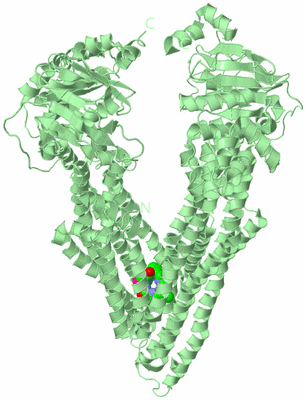 Image Biological Unit 2