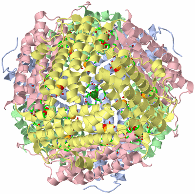 Image Biol. Unit 1 - sites