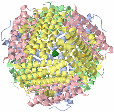 Image Biological Unit 1