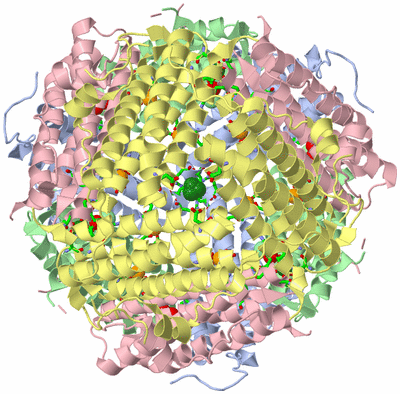 Image Biol. Unit 1 - sites