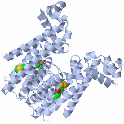 Image Biological Unit 1