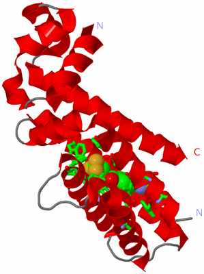 Image Asym. Unit - sites