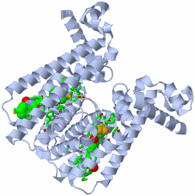 Image Biol. Unit 1 - sites