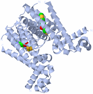 Image Biological Unit 1