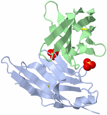 Image Biological Unit 3