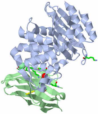 Image Asym./Biol. Unit - sites