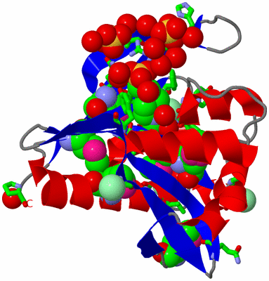 Image Asym./Biol. Unit - sites